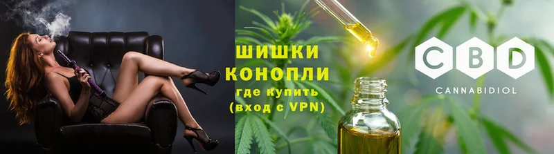 закладка  Малая Вишера  Бошки Шишки OG Kush 